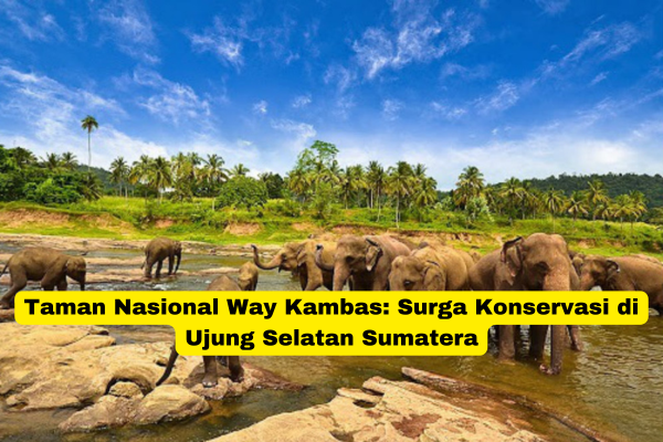 Taman Nasional Way Kambas Surga Konservasi di Ujung Selatan Sumatera