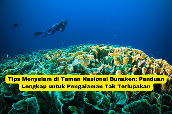 Tips Menyelam di Taman Nasional Bunaken Panduan Lengkap untuk Pengalaman Tak Terlupakan