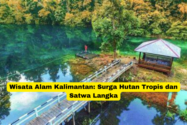 Wisata Alam Kalimantan Surga Hutan Tropis dan Satwa Langka