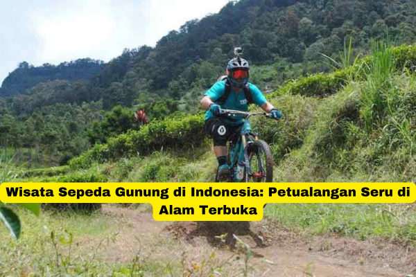 Wisata Sepeda Gunung di Indonesia Petualangan Seru di Alam Terbuka