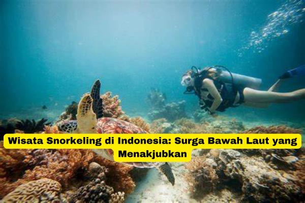 Wisata Snorkeling di Indonesia Surga Bawah Laut yang Menakjubkan