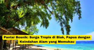 Pantai Bosnik Surga Tropis di Biak, Papua dengan Keindahan Alam yang Memukau