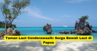 Taman Laut Cenderawasih Surga Bawah Laut di Papua