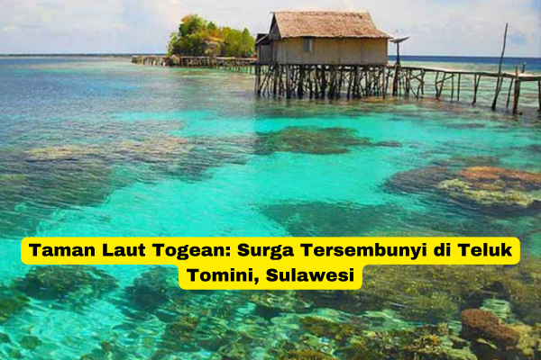 Taman Laut Togean Surga Tersembunyi di Teluk Tomini, Sulawesi