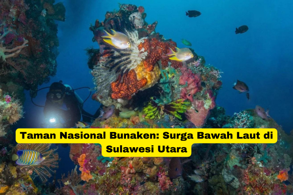 Taman Nasional Bunaken Surga Bawah Laut di Sulawesi Utara