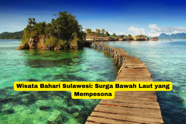 Wisata Bahari Sulawesi Surga Bawah Laut yang Mempesona