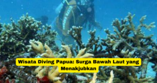 Wisata Diving Papua Surga Bawah Laut yang Menakjubkan