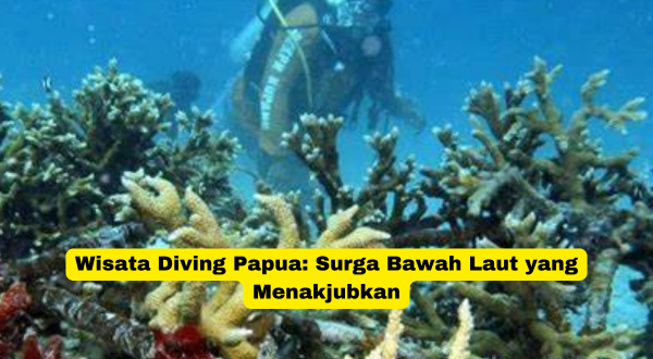 Wisata Diving Papua Surga Bawah Laut yang Menakjubkan